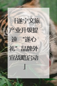 遂宁文旅产业升级提速 “遂心礼”品牌外宣战略启动