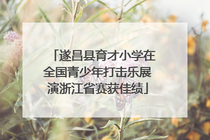 遂昌县育才小学在全国青少年打击乐展演浙江省赛获佳绩