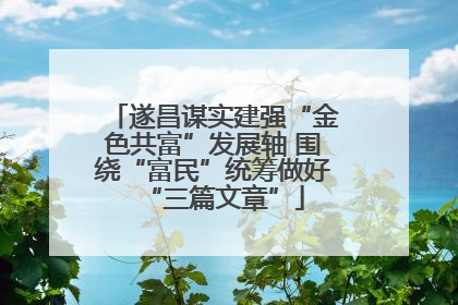 遂昌谋实建强“金色共富”发展轴 围绕“富民”统筹做好“三篇文章”