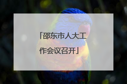 邵东市人大工作会议召开