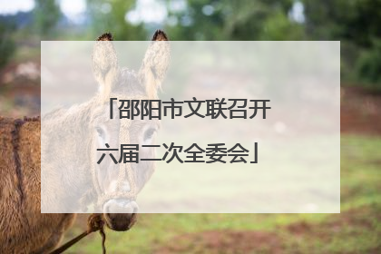 邵阳市文联召开六届二次全委会