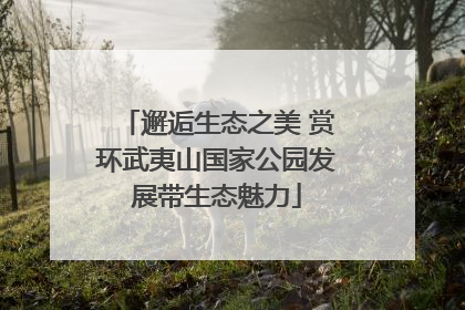 邂逅生态之美 赏环武夷山国家公园发展带生态魅力