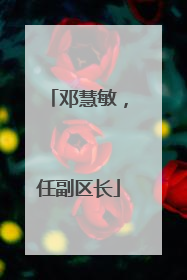 邓慧敏，任副区长