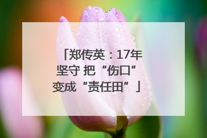 郑传英：17年坚守 把“伤口”变成“责任田”