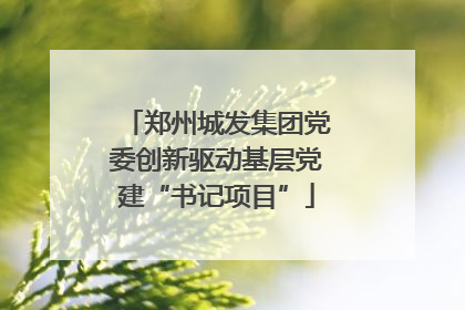 郑州城发集团党委创新驱动基层党建“书记项目”