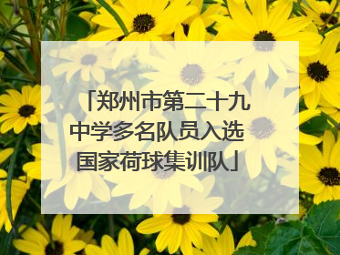郑州市第二十九中学多名队员入选国家荷球集训队