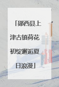 郧西县上津古镇荷花初绽邂逅夏日浪漫