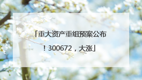 重大资产重组预案公布！300672，大涨
