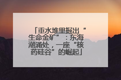 重水堆里掘出“生命金矿”：东海潮涌处，一座“核药硅谷”的崛起