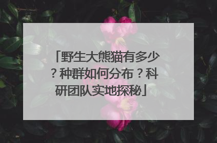 野生大熊猫有多少？种群如何分布？科研团队实地探秘