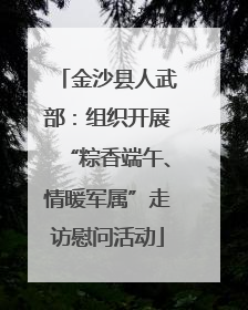 金沙县人武部：组织开展“粽香端午、情暖军属”走访慰问活动