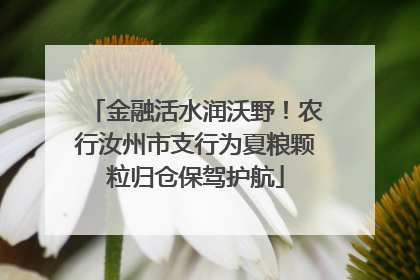 金融活水润沃野！农行汝州市支行为夏粮颗粒归仓保驾护航