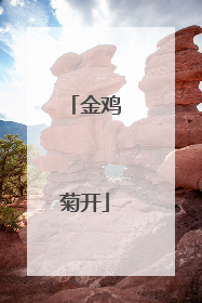 金鸡菊开