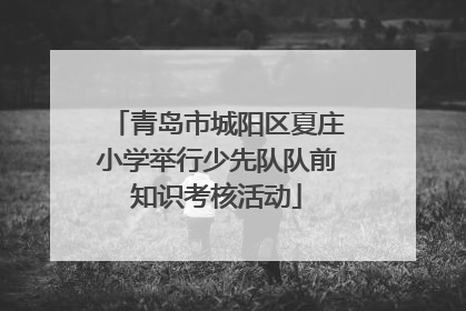 青岛市城阳区夏庄小学举行少先队队前知识考核活动
