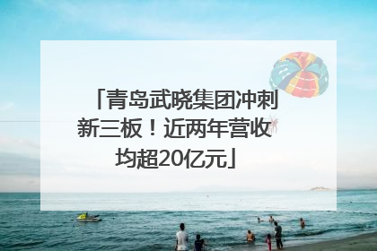 青岛武晓集团冲刺新三板！近两年营收均超20亿元