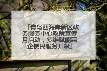 青岛西海岸新区政务服务中心政策宣传月启动，多维赋能惠企便民服务升级