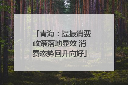 青海：提振消费政策落地显效 消费态势回升向好