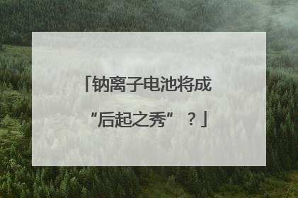 钠离子电池将成“后起之秀”？