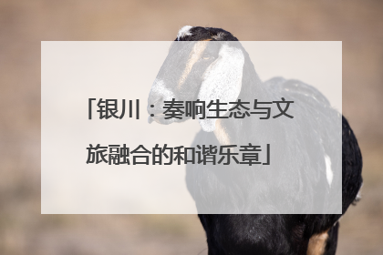 银川：奏响生态与文旅融合的和谐乐章