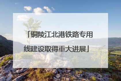 铜陵江北港铁路专用线建设取得重大进展