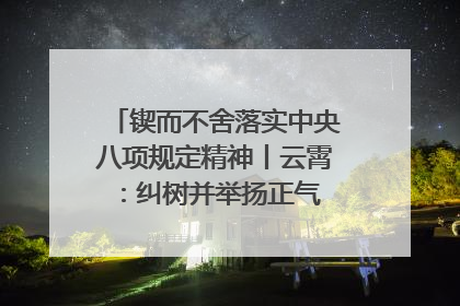锲而不舍落实中央八项规定精神丨云霄：纠树并举扬正气 作风建设谱新章