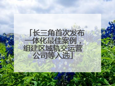 长三角首次发布一体化最佳案例，组建区域轨交运营公司等入选