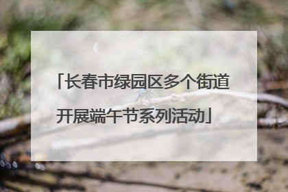 长春市绿园区多个街道开展端午节系列活动