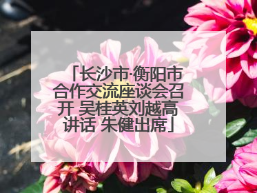 长沙市·衡阳市合作交流座谈会召开 吴桂英刘越高讲话 朱健出席
