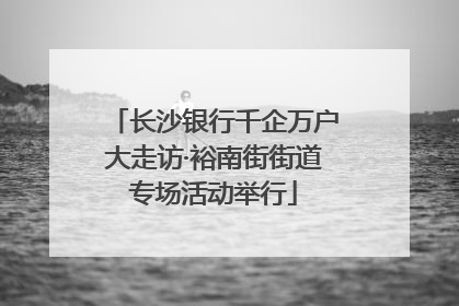 长沙银行千企万户大走访·裕南街街道专场活动举行