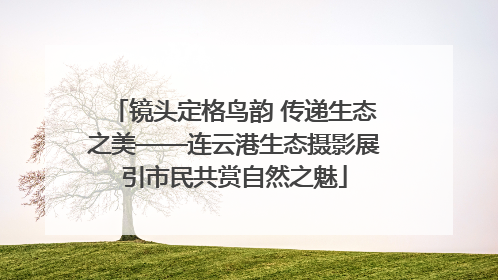 镜头定格鸟韵 传递生态之美——连云港生态摄影展引市民共赏自然之魅