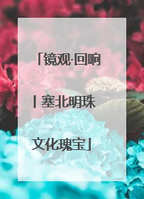 镜观·回响丨塞北明珠 文化瑰宝