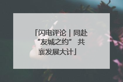 闪电评论｜同赴“友城之约” 共襄发展大计