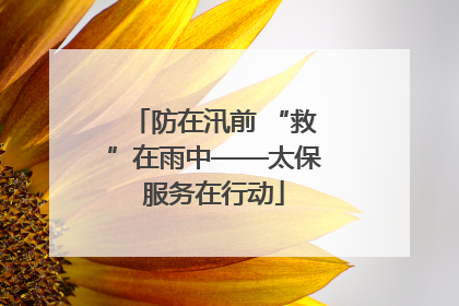 防在汛前 “救”在雨中——太保服务在行动