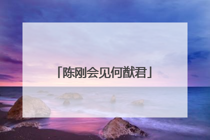 陈刚会见何猷君