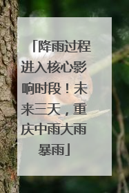 降雨过程进入核心影响时段！未来三天，重庆中雨大雨暴雨