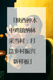 陕西神木中鸡镇纳林采当村：打造乡村振兴新样板