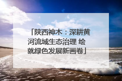 陕西神木：深耕黄河流域生态治理 绘就绿色发展新画卷