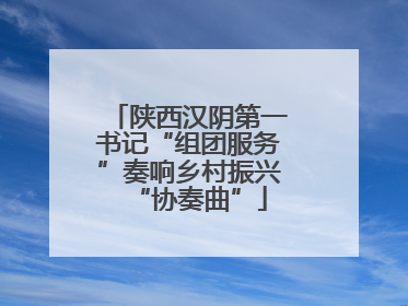 陕西汉阴第一书记“组团服务”奏响乡村振兴“协奏曲”