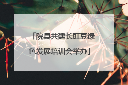 院县共建长豇豆绿色发展培训会举办