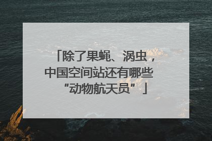 除了果蝇、涡虫，中国空间站还有哪些“动物航天员”