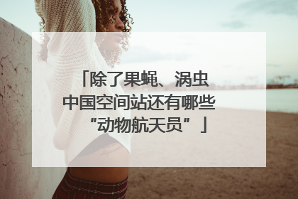 除了果蝇、涡虫 中国空间站还有哪些“动物航天员”