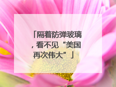 隔着防弹玻璃，看不见“美国再次伟大”