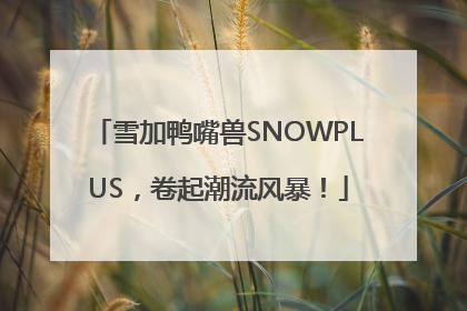 雪加鸭嘴兽SNOWPLUS，卷起潮流风暴！