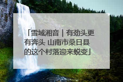 雪域湘音｜有劲头更有奔头 山南市桑日县的这个村落迎来蜕变