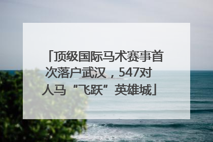 顶级国际马术赛事首次落户武汉，547对人马“飞跃”英雄城