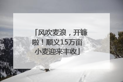 风吹麦浪，开镰啦！顺义15万亩小麦迎来丰收