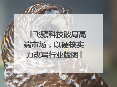 飞骧科技破局高端市场，以硬核实力改写行业版图