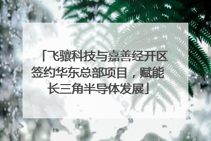 飞骧科技与嘉善经开区签约华东总部项目，赋能长三角半导体发展