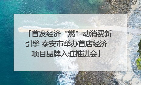 首发经济“燃”动消费新引擎 泰安市举办首店经济项目品牌入驻推进会