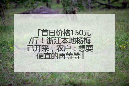 首日价格150元/斤！浙江本地杨梅已开采，农户：想要便宜的再等等